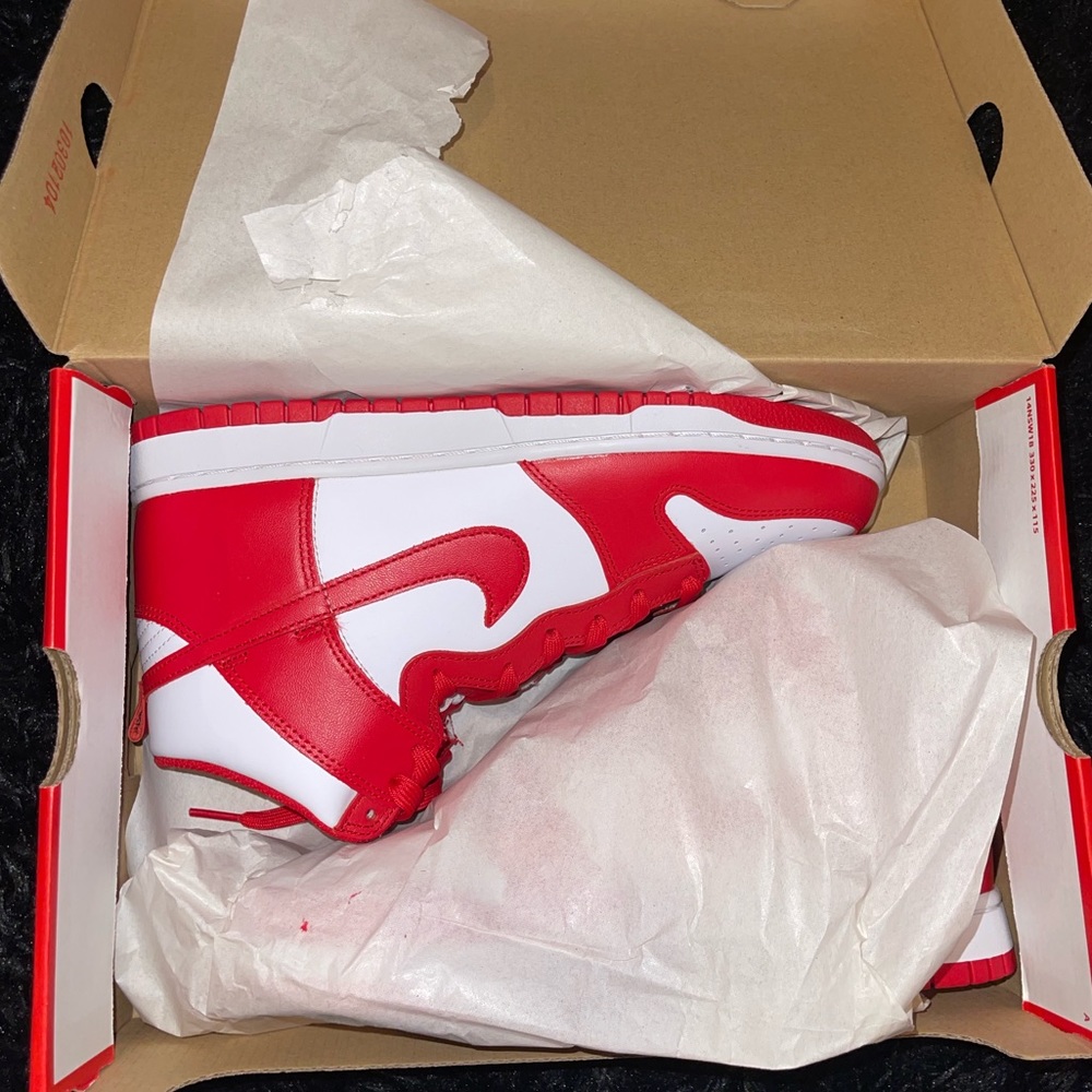 NIKE DUNK HI CHAMPIONSHIP